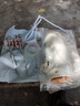 小熊（Bear）打蛋器304不锈钢棒 家用电动打蛋机 迷你奶油打发器 烘焙手持自动搅蛋器搅拌器DDQ-F01K3 实拍图