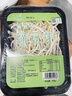 有机绿豆芽200g(原芽整根) 实拍图