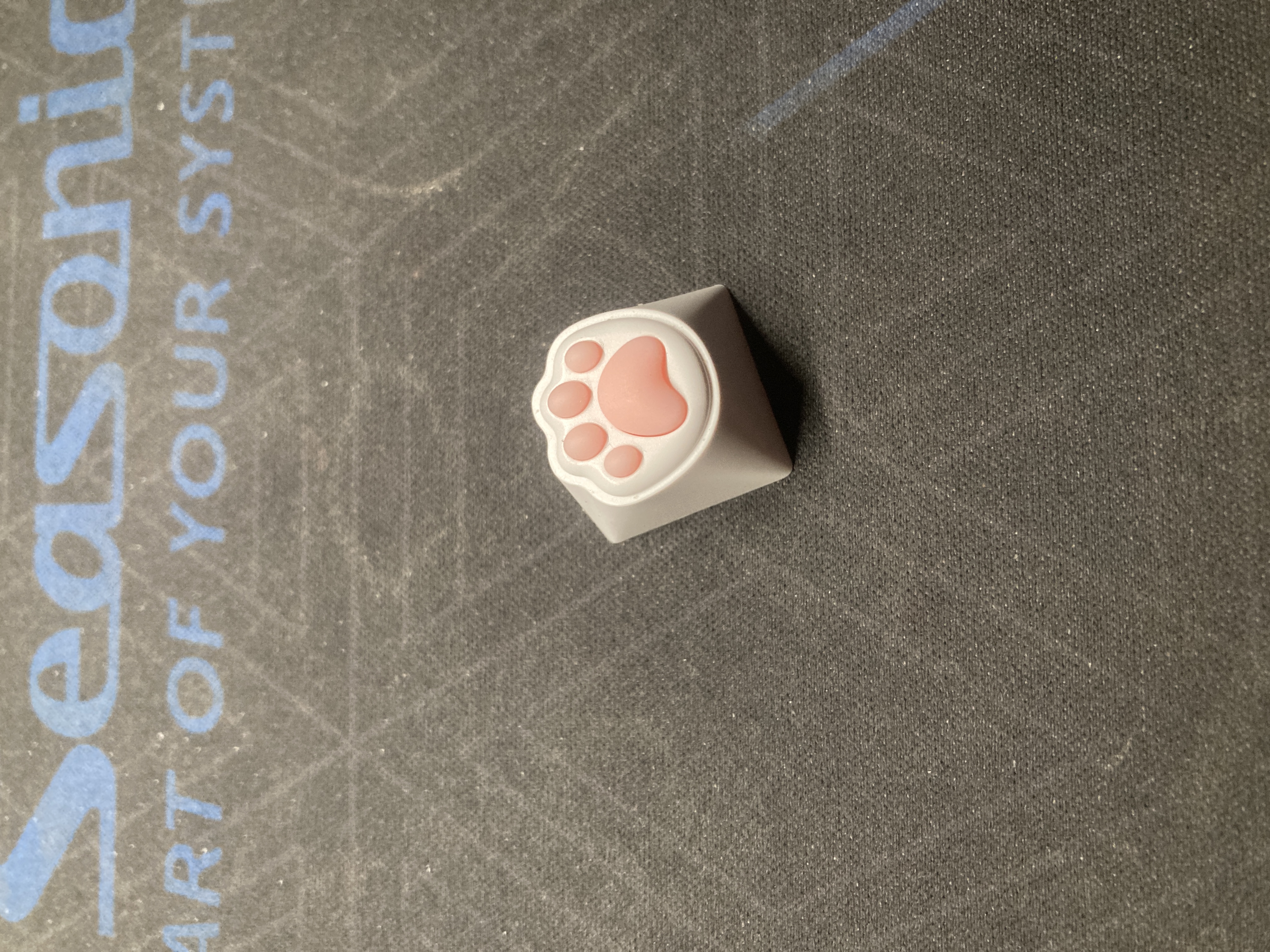 火矛 硅胶猫爪键帽客制化个性单个创意二次元可爱萌猫主题键帽OEM高度人体工学设计机械键盘键帽 【萌猫主题】猫爪键帽 1颗-袋装 实拍图