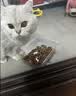 皇家猫粮 成猫猫粮 营养均衡 F32 通用粮 1-7岁 2KG 实拍图