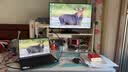 明基（BenQ）BL2490TC 23.8英寸 商务办公智慧爱眼 144Hz高刷 Type-C供电 硬件滤蓝光降频闪莱茵认证电脑显示屏 实拍图