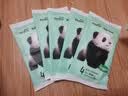 碧芭宝贝Panda胖达熊猫系列纸尿裤 新生儿小号尿不湿婴儿尿裤超薄透气 L码-4片试用装 实拍图
