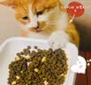 有鱼鸡肉冻干双拼成幼猫全价天然无谷猫粮 有一只鸡3.0升级款 2kg 实拍图