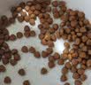 好主人猫粮 幼猫猫粮 室内天然粮 全价幼猫粮通用鸡肉味 2.5kg/5斤 实拍图