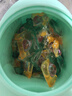 立白沙龙香氛洗衣凝珠65颗 三腔 甜香草与橙花 留香30天 浓缩洗衣液 实拍图