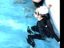 361°游泳衣女士分体长袖长裤2026新款防晒保守沙滩冲浪潜水服水母衣 实拍图