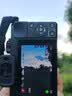 松下（Panasonic）Lumix G100D M43画幅相机 M43卡口 微单相机 无反数码相机 G100D单机+【25mmF1.7】单镜头定焦 实拍图