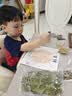 兰酷帕非遗手工diy材料包中草药画班级文创儿童早教玩具男女孩国庆礼物 实拍图