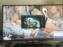 泰坦军团24.5英寸双侧入光 2K 420Hz HDR600 FastIPS硬件低蓝光 DyDs0.3ms 旋转升降电竞显示器 仓刀X256T+ 实拍图