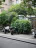 松下（Panasonic）Lumix G100D M43画幅相机 M43卡口 微单相机 无反数码相机 G100D单机+【25mmF1.7】单镜头定焦 实拍图