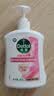 滴露（Dettol）洗手液抑菌消毒滋润500g+500g 补充装 儿童家庭护手替换装 实拍图