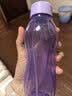 特百惠（Tupperware）依可瓶310ml随身塑料杯夏季儿童水杯子小巧迷你口袋杯运动 冰沙紫 实拍图
