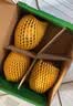 佳沛（zespri）新西兰金奇异果4粒103-114g猕猴桃源头直发中秋节礼品送水果礼盒 实拍图