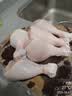 正大琵琶腿净重6斤（独立3包）鸡腿鸡肉鸡腿肉生鲜早餐鸡肉 实拍图