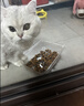 皇家猫粮 成猫猫粮 泌尿道呵护 U31 1岁以上  50g*3 实拍图