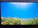 AOC 27英寸4K165Hz Gen.3五层堆叠QD-OLED 第五代BlackAGLR涂层 抗反射抗眩光更黑 电竞显示器U27G4D 实拍图