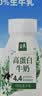 伊利金典4.4g高蛋白牛奶整箱 250ml*10瓶  礼盒装 实拍图