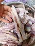 正大樱桃谷鸭脖净重1.8斤鸭货生鲜 麻辣卤味鸭货鸭肉火锅烧烤食材 实拍图