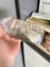 【两单起发】家具配件大挂钩粘胶墙壁贴挂重物墙贴免打孔墙面粘贴无痕粘钩家具配件 拉丝金大挂钩1个【拍2单发5个】 实拍图
