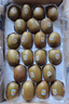 佳沛（zespri）新西兰阳光金奇异果巨大果22粒原箱单果146-175g 猕猴桃水果礼盒 实拍图