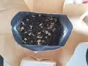 陈一凡 川派茉莉飘雪 茉莉花茶特级 浓香型茶叶 新茶四川花茶纸包装250g 实拍图