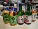 梅见青梅酒果酒女士低度微醺酒金桂330ml*6瓶+盲盒酒330m*2自饮聚餐 实拍图