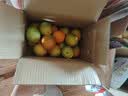 京觅秭归脐橙夏季鲜橙净重4斤单果120g+鲜采不分级水果源头直发包邮 实拍图