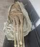 领象 环卫扫把笤帚扫帚 扫马路竹扫把 竹扫帚大扫把3.5斤竹编款10只装 实拍图