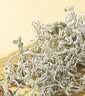 同仁堂品牌 北京同仁堂非正宗张家界莓茶50g芽尖莓茶润咙喉咽 高黄酮 实拍图