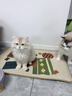 愛肯拿（ACANA）猫粮 牧场盛宴成猫幼猫粮 高蛋白无谷进口鸡肉粮5.4kg 效期27/5 实拍图