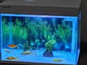 森森超白鱼缸一体缸自循环家用办公室桌面小型水族箱HEJ-380 实拍图