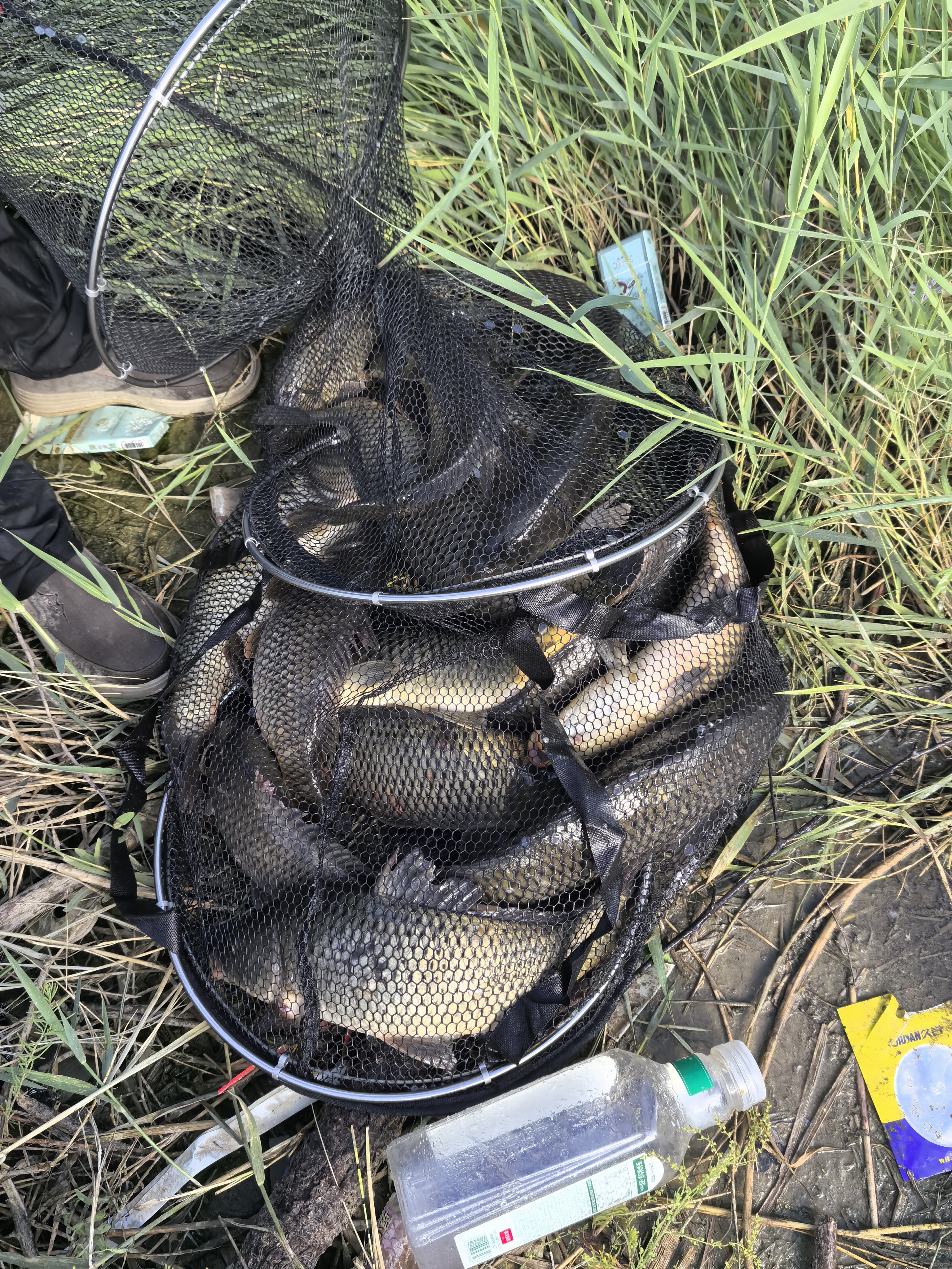 臻佑（Grsaed）钓鱼抄网套装一体三角抄网捞鱼网兜大物抄网头杆可折叠伸缩3.0米 实拍图