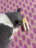 HELLOJOY猫咪指甲剪专用狗狗指甲钳神器猫爪子宠物指甲剪刀LED灯 实拍图