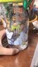 babycare儿童水杯二合一户外运动水杯吸管杯直饮幼儿园水壶上学专用600mL 实拍图