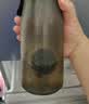 柏邦水杯子男士磁弹泡茶杯Tritan材质茶水分离高档个人专用车载冷泡杯 雅致黑900ml【磁吸茶仓+耐高温/可冷萃】防摔防爆 2026夏天新款母婴级塑料杯+赠杯刷 实拍图