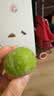 佳沛（zespri）新西兰金奇异果10粒巨大果146-175g猕猴桃中秋节礼品送水果礼盒 实拍图