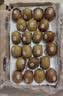 佳沛（zespri）新西兰阳光金果10个装单果重约103-114g 水果礼盒 猕猴桃 实拍图