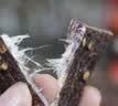 雅垄藏秘超干牦牛肉干麻辣味200克青海特产有嚼劲补充能量零食 实拍图