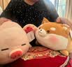 名创优品（MINISO）趣味阿柴弹力超柔趴姿公仔毛绒玩偶儿童玩具抱枕靠枕生日礼物女 实拍图