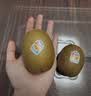 佳沛（zespri）新西兰 阳光金奇异果12粒特大果单果124-146g 猕猴桃水果礼盒 实拍图