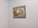集简季轻奢电表箱装饰画现代配电箱餐厅电闸箱开关遮挡挂画  实拍图