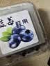 京丰味新鲜蓝莓 云南蓝莓 生鲜水果花香蓝莓 当季时令水果 带箱3斤 净重12盒*100-125g A+精品 单果12-15mm 实拍图