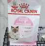 皇家猫粮 幼猫猫粮 幼猫奶糕 K36 通用粮 4-12月 4.5KG 实拍图