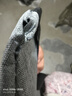 Chest bag男士时尚休闲胸包简约单肩包便捷轻便胸前包潮流斜挎包 灰 色单层 实拍图