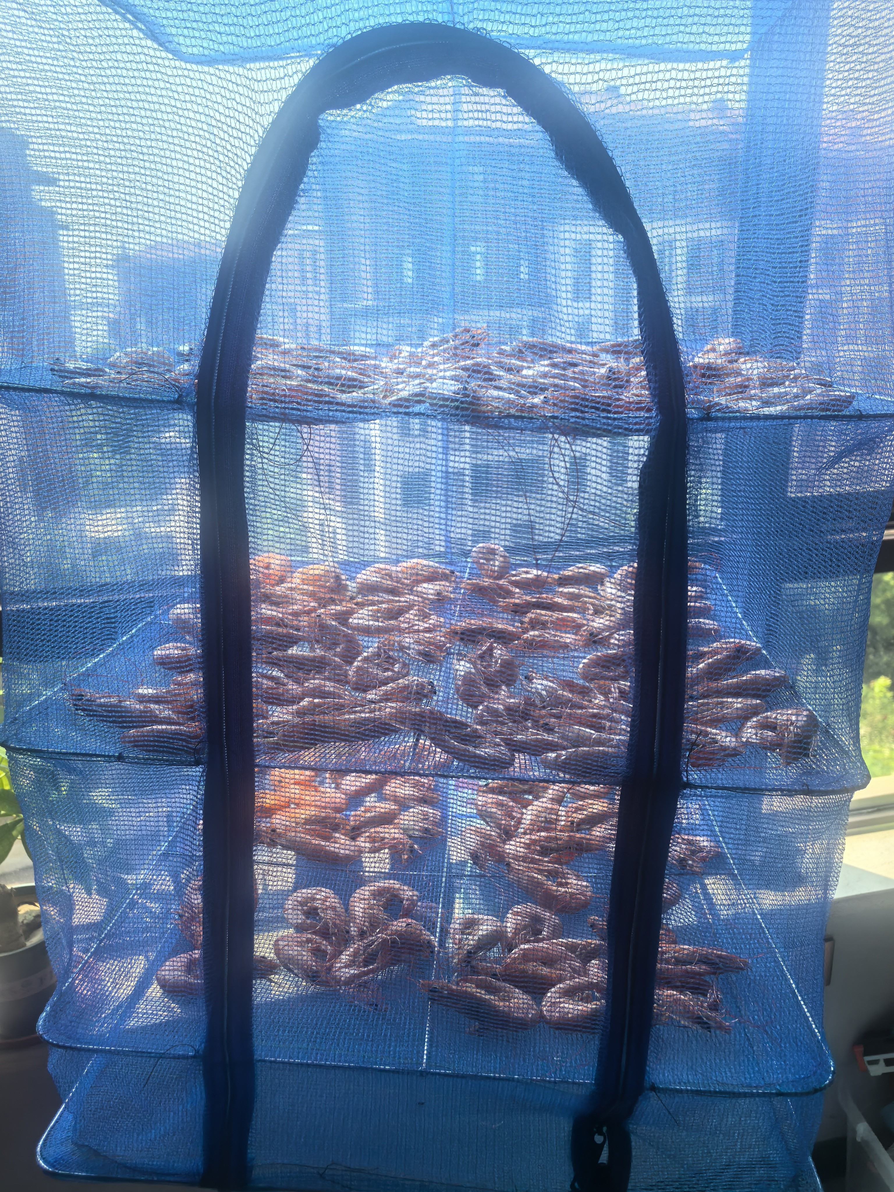 臻佑（Grsaed）折叠晒鱼网50CM三层晒干笼防虫防蝇笼晾干家用晒菜晒干货晾晒网架 实拍图