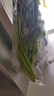 带根香菜100g 实拍图