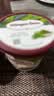 哈根达斯（Haagen-Dazs）经典抹茶口味冰淇淋 100ml/杯 雪糕 实拍图