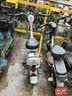 驰小虎电动自行车 吉祥虎新国标电动车电动自行车48V12Ah铅酸电池长续航电瓶车成人代步车电车 绿色 实拍图