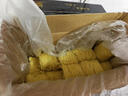 黎记竹升面条 全蛋面1500g 港式竹升面 挂面龙须面云吞面鸡蛋面手工面 实拍图