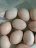 京鲜生 无抗保洁鲜鸡蛋30枚/盒 健康轻食 礼盒送礼 1.5kg/盒 源头直发 实拍图